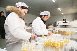 長葛蜂產業 星星之火，如何實現蜂火燎原