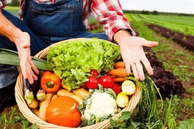 初級農(nóng)產(chǎn)品 定義、監(jiān)管與經(jīng)營許可解讀